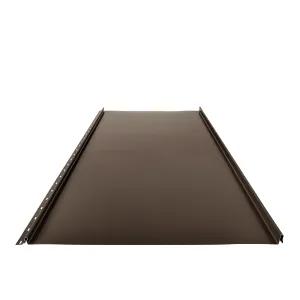 Obraz - Pokrycia dachowe CLICK 515