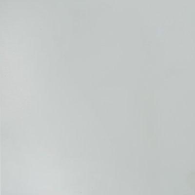 Jasno szary  7035  -  Obraz