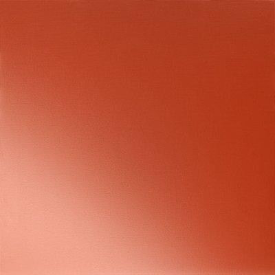 Czerwony rajdowy  3020  -  Obraz