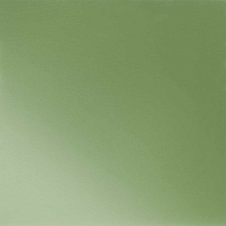 Trawa zielona  6011  -  Ocynkowana stal powlekana  -  Obraz