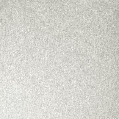 Srebrny W.15  9006  -  Obraz