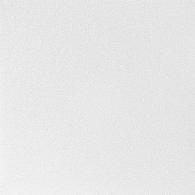 Biały W.15  9010  -  Obraz