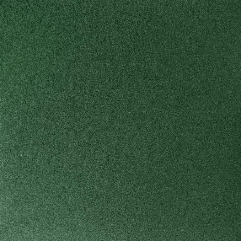 Zielony mech W.15  6005  -  Aluminium powlekane W.15  -  Obraz