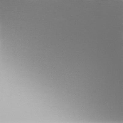 Jasnoszary 7005 - Obraz