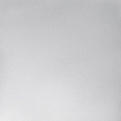 Srebrny  9006  -  Obraz