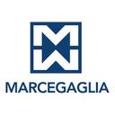 Obraz - MARCEGAGLIAEN 10204 3.1 DX51D + ZM140 (taśma, arkusz)