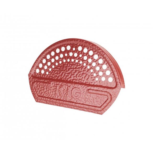 Obraz - Zakończenie gąsiora płaskienull