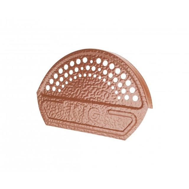 Obraz - Zakończenie gąsiora płaskienull