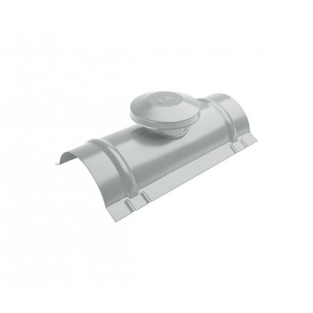 Obraz - Gąsior wentylacyjnynull