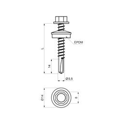 Wkręt samowiercący ocynkowana stal GT12  - Ocynkowana stal powlekana  - Testa di Moro  -  Obraz 2