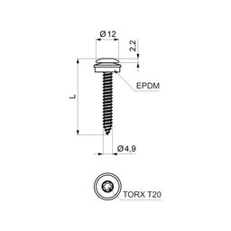 Śruba samogwintująca ze stali nierdzewnej  - Stal nierdzewna  - A2/A2  -  Obraz 2