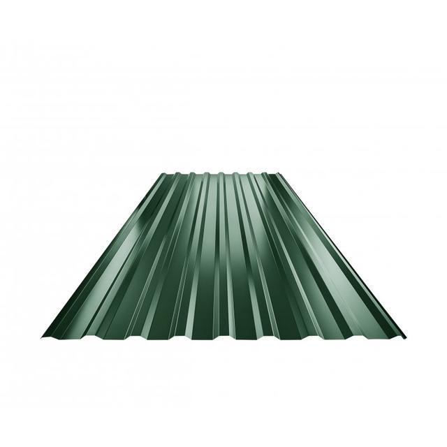 Obraz - Trapez dachowy TR 18Anull