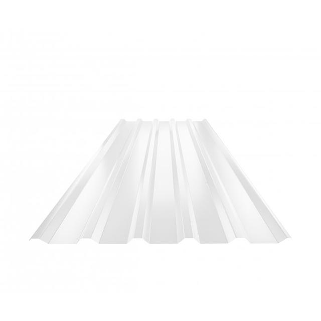 Obraz - Trapez dachowy TR 35Anull