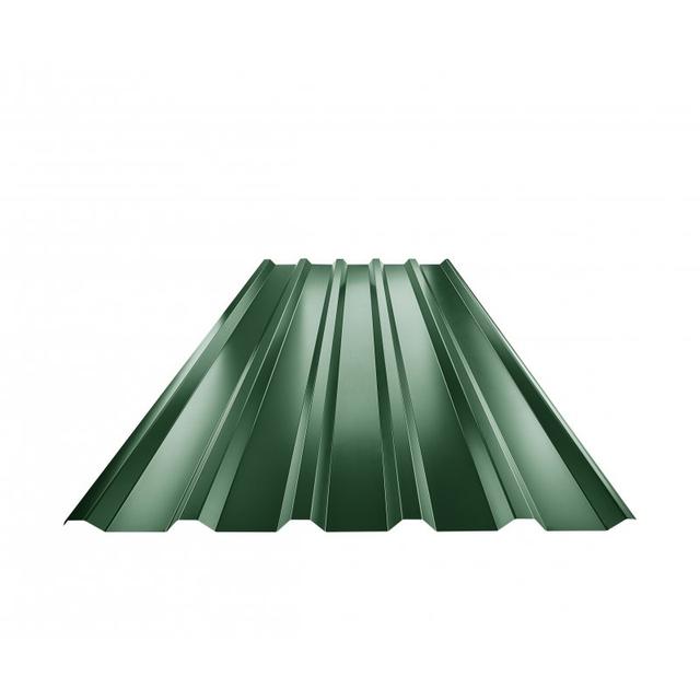 Obraz - Trapez dachowy TR 35Anull