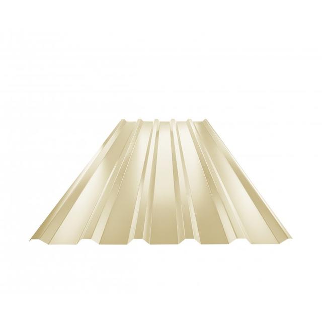 Obraz - Trapez dachowy TR 35Anull