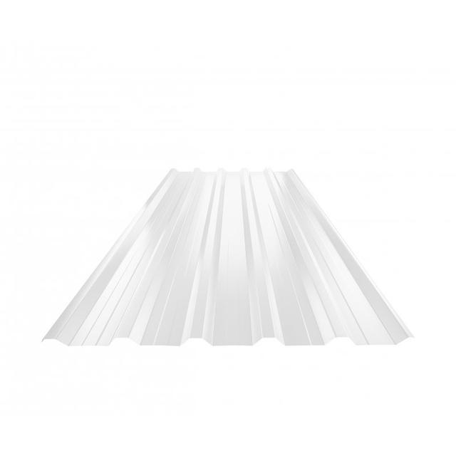 Obraz - Trapez dachowy z przetłoczeniem TR 35A+null