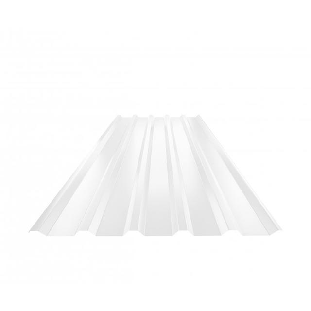 Obraz - Trapez dachowy TR 35Anull