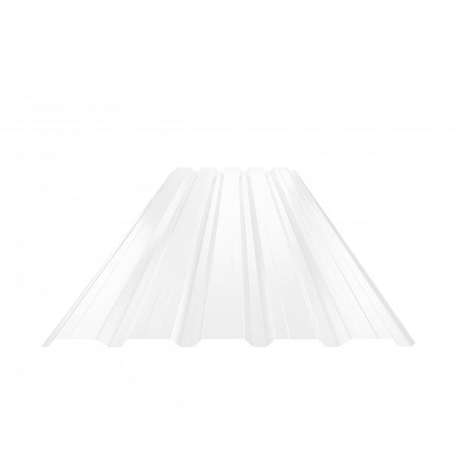 Obraz - Trapez elewacyjny z przetłoczeniem TR 35B+null