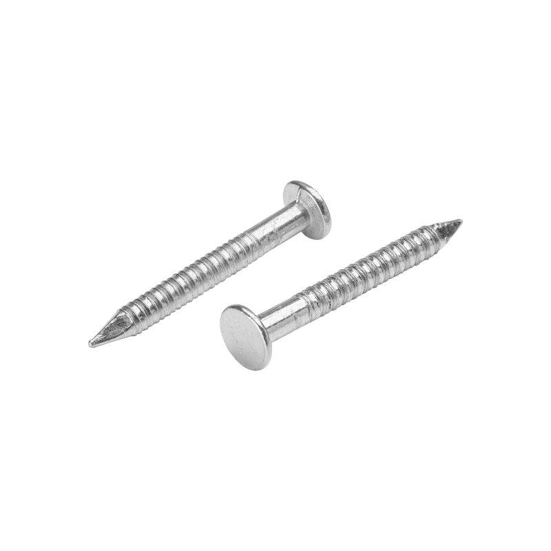 Gwóźdź papowy pierścieniowy  - Ocynkowana stal  - Natur  -  Obraz