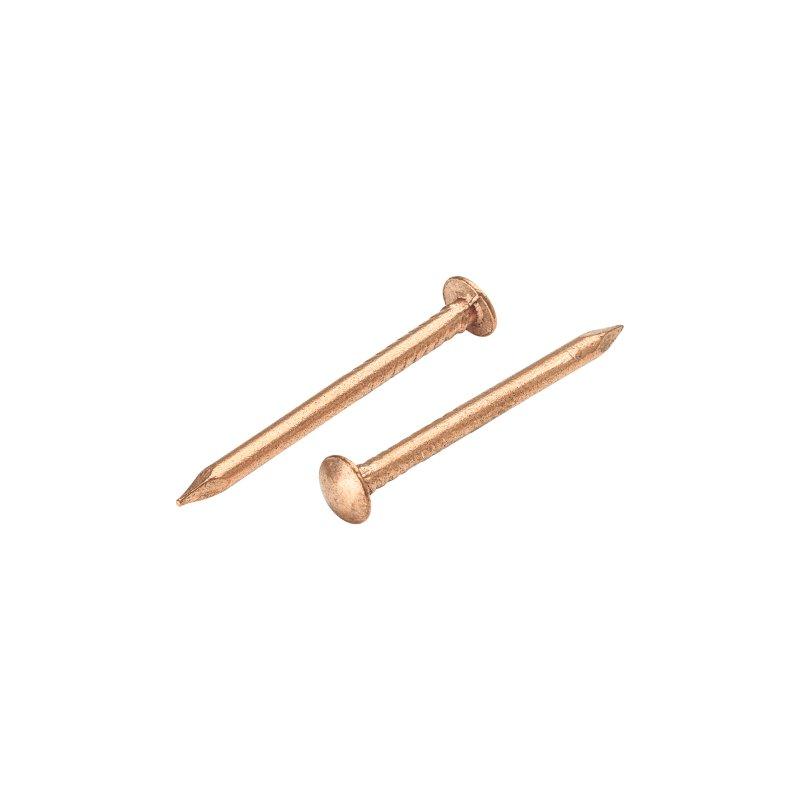 Gwóźdź papowy wypukły łeb 6 mm  - Miedź  - Natur  -  Obraz