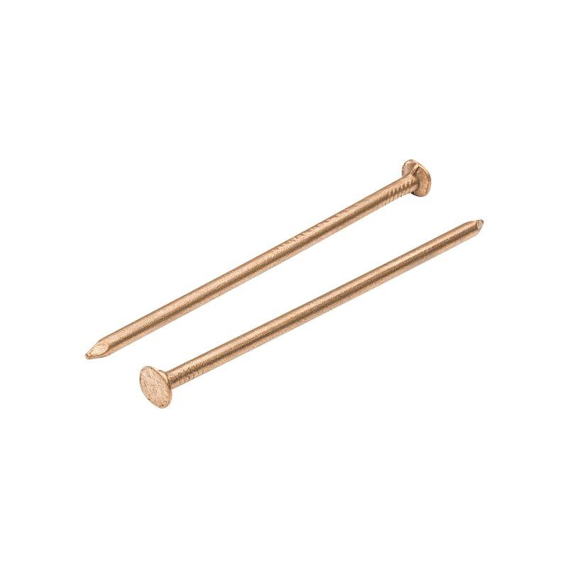 Gwóźdź budowlany z łbem 10 mm  - Miedź  - Natur  -  Obraz