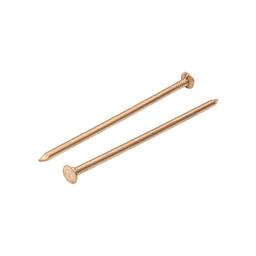 Gwóźdź budowlany z łbem 10 mm  - Miedź  - Natur  -  Obraz 1