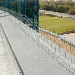 Kolce przeciw ptakom  - Stal nierdzewna  - Natur  -  Obraz 2