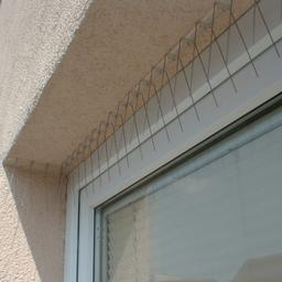 Kolce przeciw ptakom  - Stal nierdzewna  - Natur  -  Obraz 2