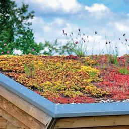 Geowłóknina 2,0 x 50,0 m  - Polipropylen  -  Obraz 2