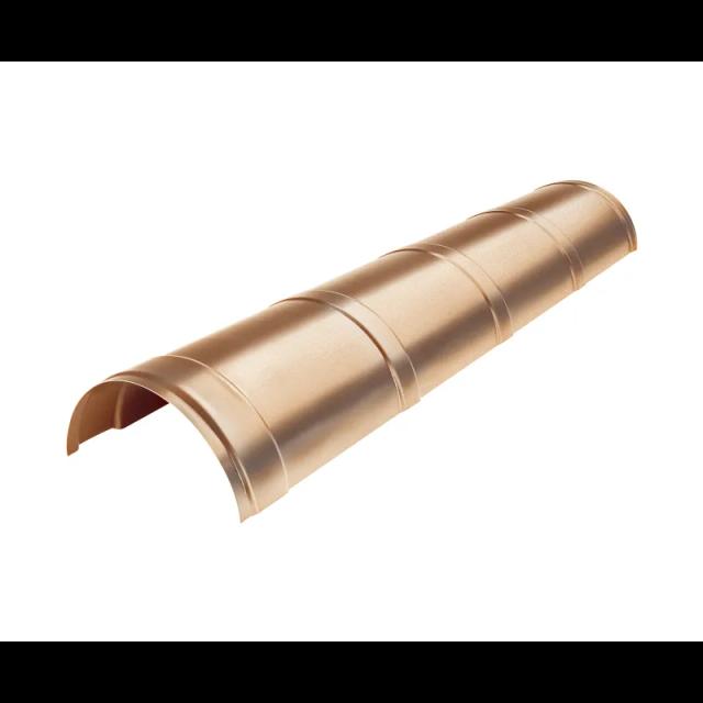 Obraz - Gąsior dachowynull