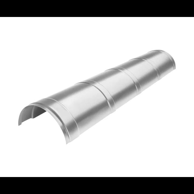 Obraz - Gąsior dachowynull