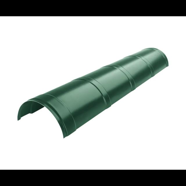 Obraz - Gąsior dachowynull