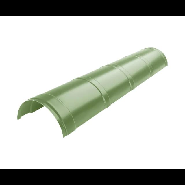 Obraz - Gąsior dachowynull