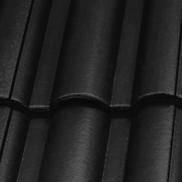 Obraz - Dachówki wentylacyjne DANUBIAnull