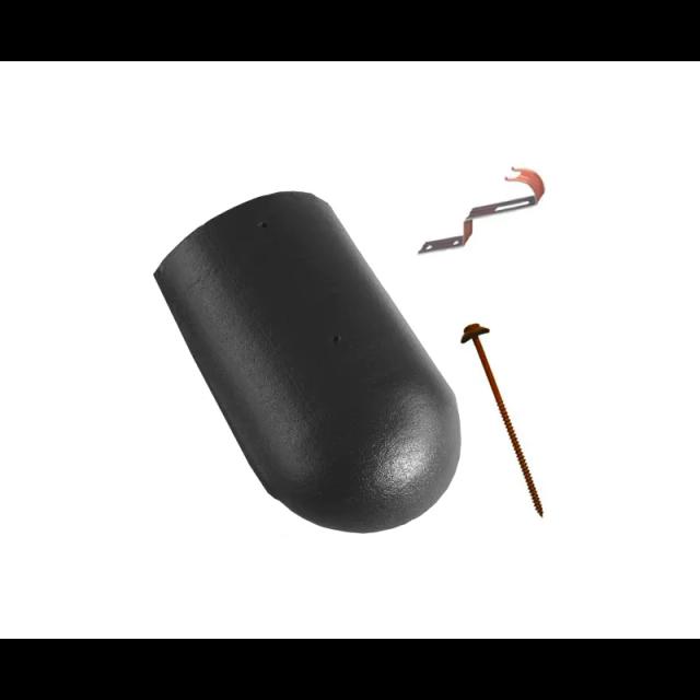 Obraz - Gąsior początkowy lub końcowy DANUBIAnull