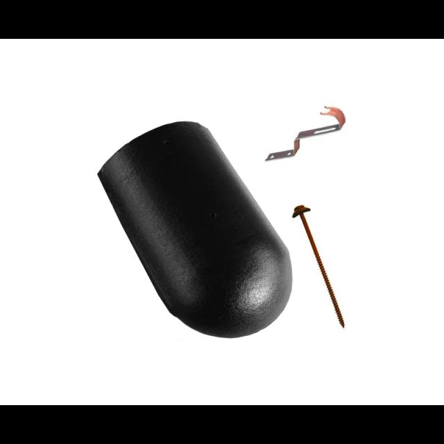 Obraz - Gąsior początkowy lub końcowy DANUBIAnull