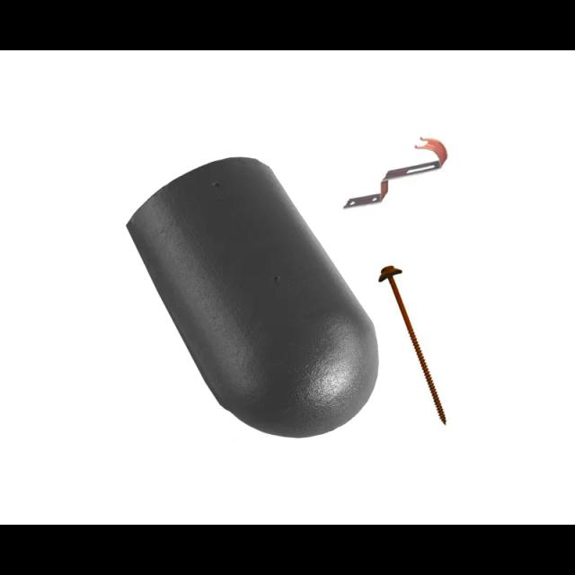 Obraz - Gąsior początkowy lub końcowy DANUBIAnull