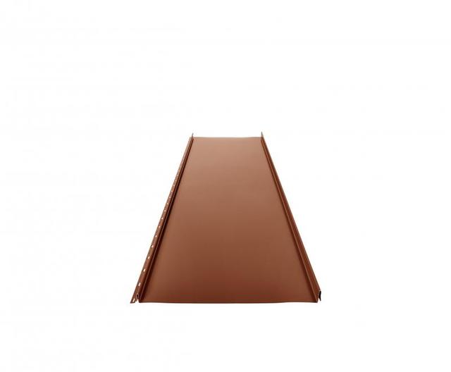 Obraz - Pokrycia dachowe CLICK 205