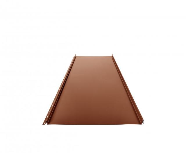 Obraz - Pokrycia dachowe CLICK 306