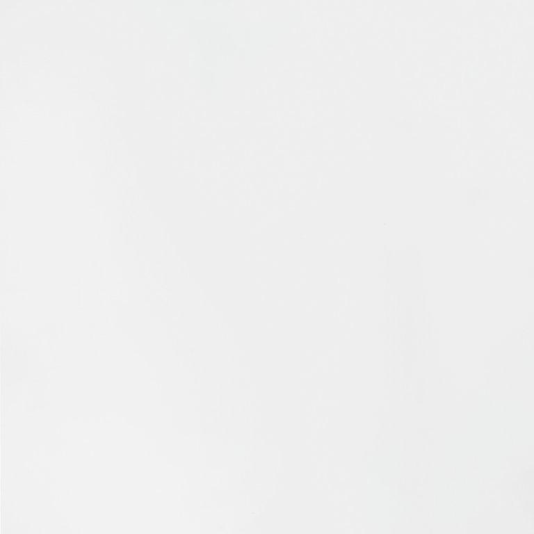 Biały 9010 - Ocynkowana stal powlekana - Obraz