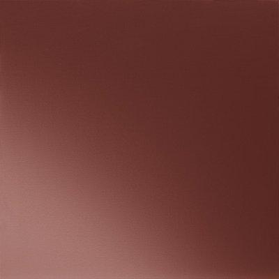 Czerwony 3009 - Obraz