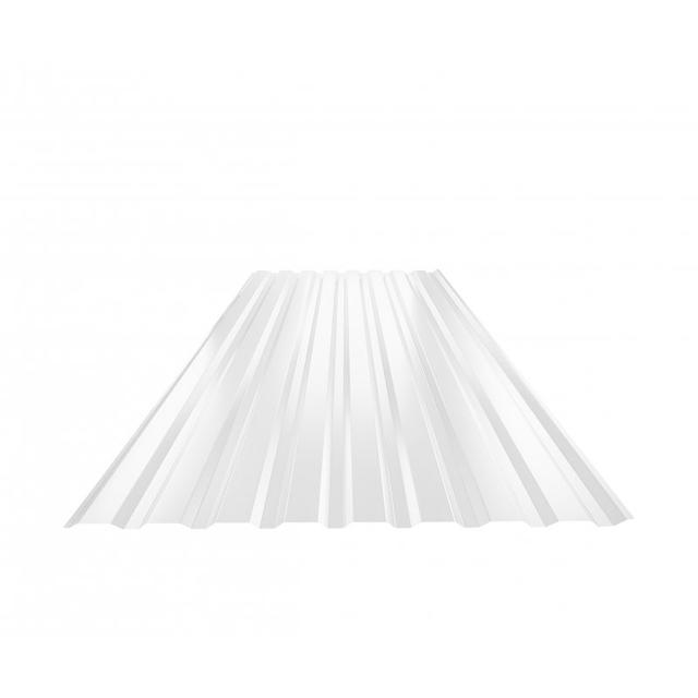 Obraz - Trapez elewacyjny TR 18Bnull