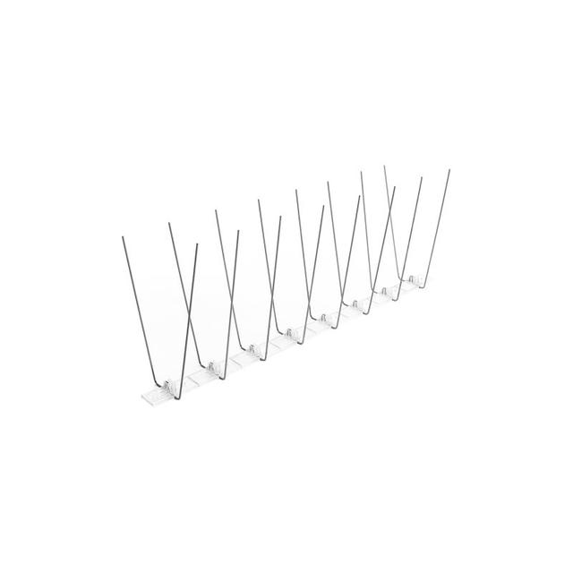 Obraz - Kolce przeciw ptakomnull