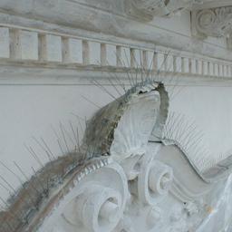 Kolce przeciw ptakom - Stal nierdzewna - Natur - Obraz 2