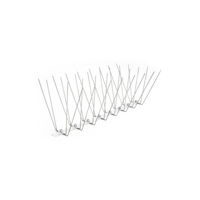 Obraz - Kolce przeciw ptakomnull