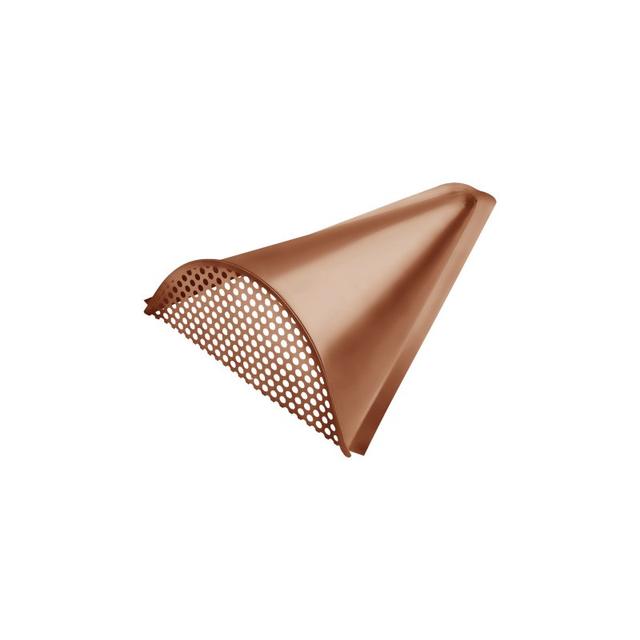 Obraz - Usta żaby pokrywa wywietrznikanull