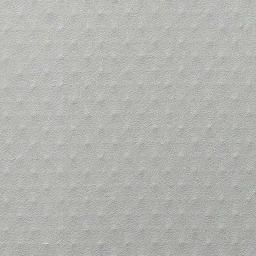 TPO/FPO arkusza powlekana tworzywem sztucznym - Obraz 2